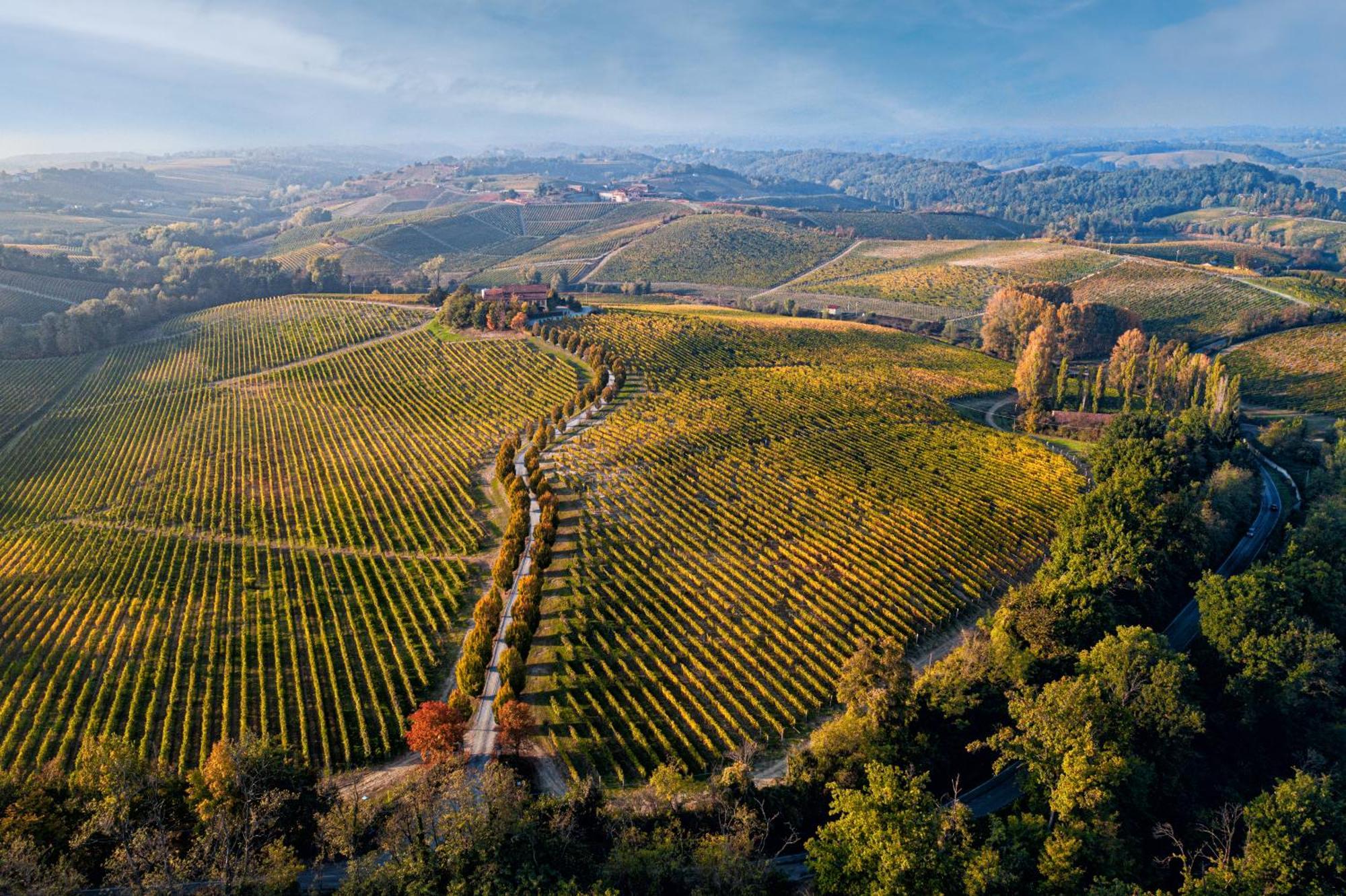 Tenuta La Meirana Gavi Bagian luar foto