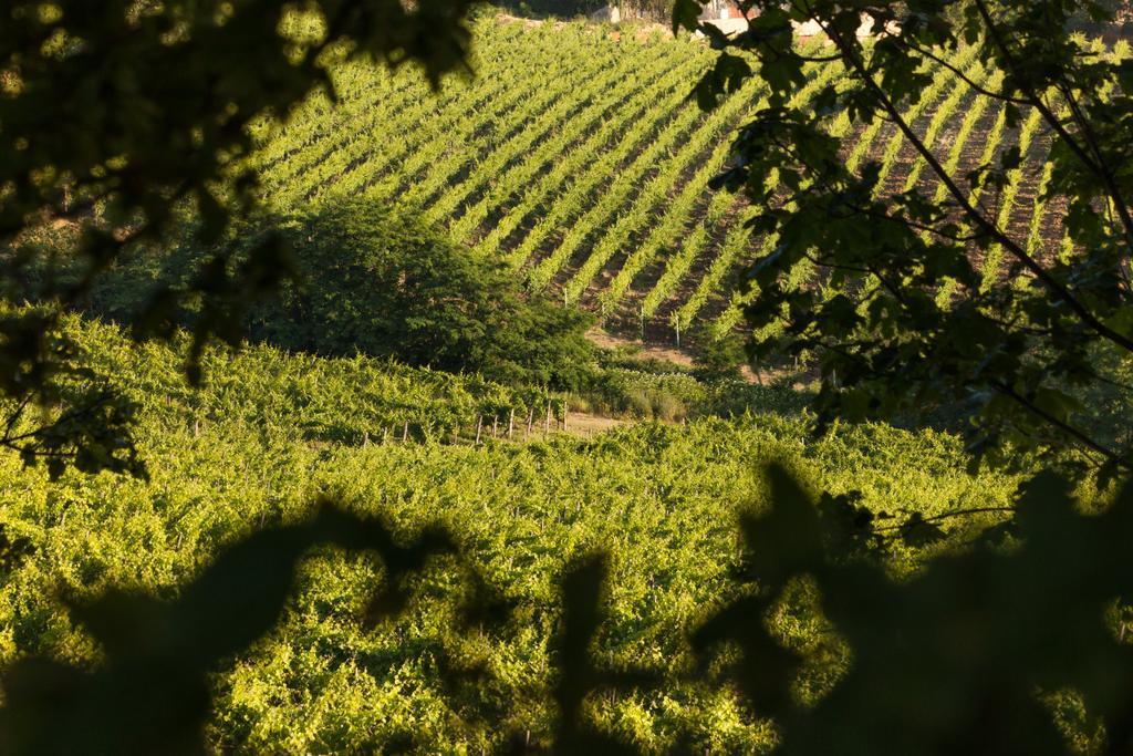 Tenuta La Meirana Gavi Bagian luar foto