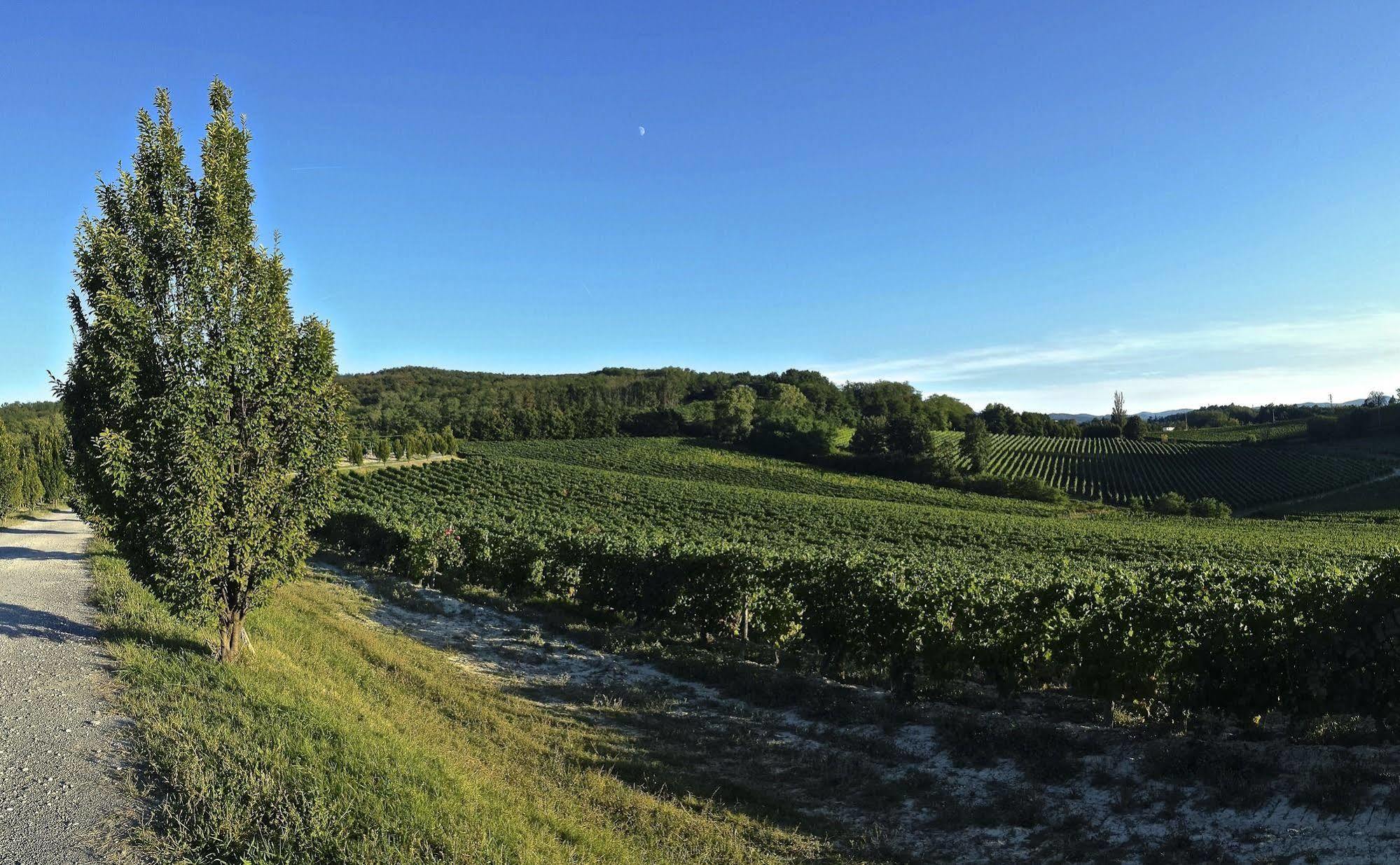 Tenuta La Meirana Gavi Bagian luar foto